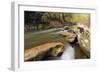 Autumn Creek-5fishcreative-Framed Giclee Print