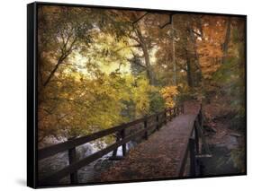 Autumn Crossing-Jessica Jenney-Framed Stretched Canvas