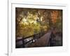 Autumn Crossing-Jessica Jenney-Framed Giclee Print