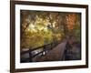 Autumn Crossing-Jessica Jenney-Framed Giclee Print