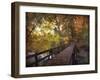 Autumn Crossing-Jessica Jenney-Framed Giclee Print