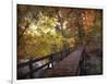 Autumn Crossing-Jessica Jenney-Framed Giclee Print