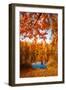 Autumn Crown-Philippe Sainte-Laudy-Framed Photographic Print