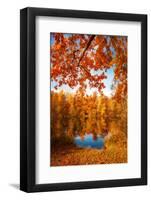 Autumn Crown-Philippe Sainte-Laudy-Framed Photographic Print