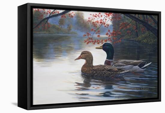 Autumn Cruise-Bruce Dumas-Framed Stretched Canvas