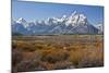 Autumn, Cunningham Cabin Area, Grand Tetons, Grand Teton NP, Wyoming-Michel Hersen-Mounted Photographic Print