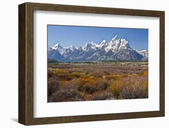 Autumn, Cunningham Cabin Area, Grand Tetons, Grand Teton NP, Wyoming-Michel Hersen-Framed Photographic Print