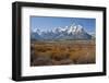 Autumn, Cunningham Cabin Area, Grand Tetons, Grand Teton NP, Wyoming-Michel Hersen-Framed Photographic Print