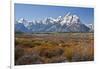 Autumn, Cunningham Cabin Area, Grand Tetons, Grand Teton NP, Wyoming-Michel Hersen-Framed Photographic Print