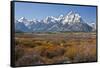Autumn, Cunningham Cabin Area, Grand Tetons, Grand Teton NP, Wyoming-Michel Hersen-Framed Stretched Canvas