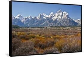 Autumn, Cunningham Cabin Area, Grand Tetons, Grand Teton NP, Wyoming-Michel Hersen-Framed Stretched Canvas