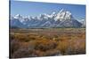 Autumn, Cunningham Cabin Area, Grand Tetons, Grand Teton NP, Wyoming-Michel Hersen-Stretched Canvas