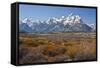 Autumn, Cunningham Cabin Area, Grand Tetons, Grand Teton NP, Wyoming-Michel Hersen-Framed Stretched Canvas