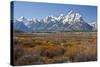 Autumn, Cunningham Cabin Area, Grand Tetons, Grand Teton NP, Wyoming-Michel Hersen-Stretched Canvas