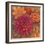 Autumn Dahlias 1-Vera Hills-Framed Art Print