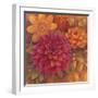 Autumn Dahlias 1-Vera Hills-Framed Art Print