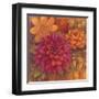 Autumn Dahlias 1-Vera Hills-Framed Art Print