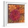 Autumn Dahlias 1-Vera Hills-Framed Art Print