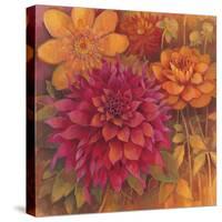 Autumn Dahlias 1-Vera Hills-Stretched Canvas