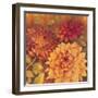 Autumn Dahlias 2-Vera Hills-Framed Art Print