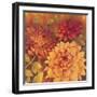 Autumn Dahlias 2-Vera Hills-Framed Art Print