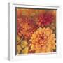 Autumn Dahlias 2-Vera Hills-Framed Art Print