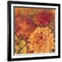 Autumn Dahlias 2-Vera Hills-Framed Art Print