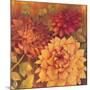 Autumn Dahlias 2-Vera Hills-Mounted Art Print