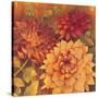 Autumn Dahlias 2-Vera Hills-Stretched Canvas