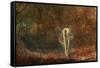 Autumn - 'Dame Autumn Hath a Mournful Face' - Old Ballad. 1871-John Atkinson Grimshaw-Framed Stretched Canvas