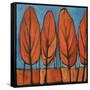 Autumn Dance-Tim Nyberg-Framed Stretched Canvas