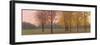 Autumn Dawn, Maples-Elissa Gore-Framed Giclee Print