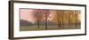 Autumn Dawn, Maples-Elissa Gore-Framed Giclee Print