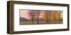 Autumn Dawn, Maples-Elissa Gore-Framed Art Print