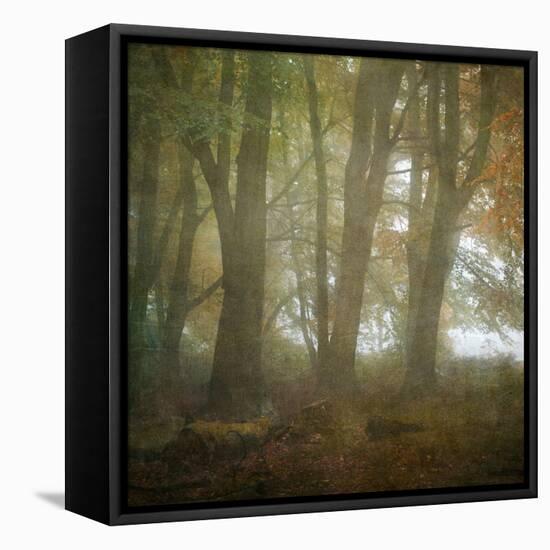 Autumn Dawn-Doug Chinnery-Framed Stretched Canvas