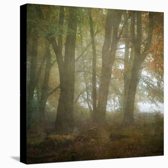 Autumn Dawn-Doug Chinnery-Stretched Canvas
