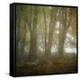 Autumn Dawn-Doug Chinnery-Framed Stretched Canvas