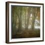 Autumn Dawn-Doug Chinnery-Framed Photographic Print