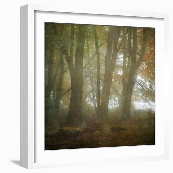 Autumn Dawn-Doug Chinnery-Framed Photographic Print