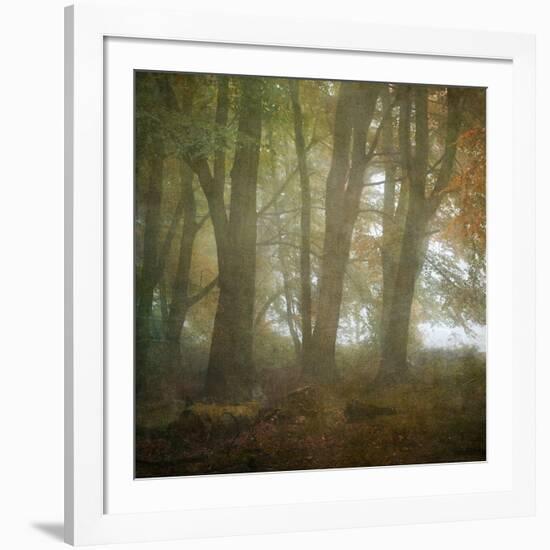 Autumn Dawn-Doug Chinnery-Framed Photographic Print