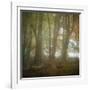 Autumn Dawn-Doug Chinnery-Framed Photographic Print