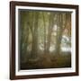 Autumn Dawn-Doug Chinnery-Framed Photographic Print