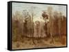 Autumn Day, 1875-Karl Buchholz-Framed Stretched Canvas