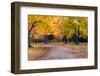 Autumn Day in Michigan-pudding-Framed Photographic Print