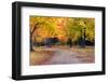 Autumn Day in Michigan-pudding-Framed Photographic Print