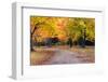 Autumn Day in Michigan-pudding-Framed Photographic Print