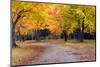 Autumn Day in Michigan-pudding-Mounted Photographic Print