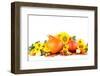 Autumn Decoration with Sunflowers and Hokkaido Pumpkins-IngridHS-Framed Photographic Print