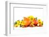 Autumn Decoration with Sunflowers and Hokkaido Pumpkins-IngridHS-Framed Photographic Print