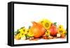 Autumn Decoration with Sunflowers and Hokkaido Pumpkins-IngridHS-Framed Stretched Canvas